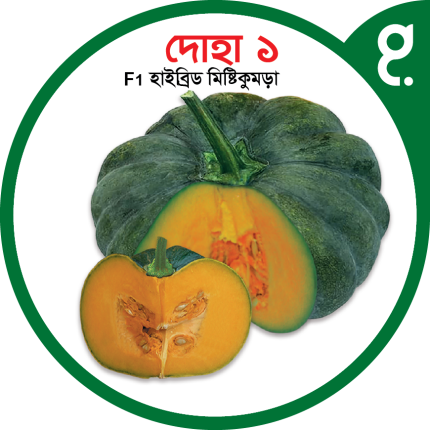 দোহা ১ মিষ্টিকুমড়া বীজ Doha 1 Pumpkin Seed